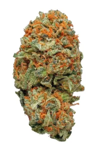 Buy AK 47 Strain