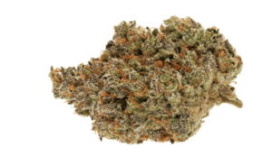 Buy Amnesia Haze Strain