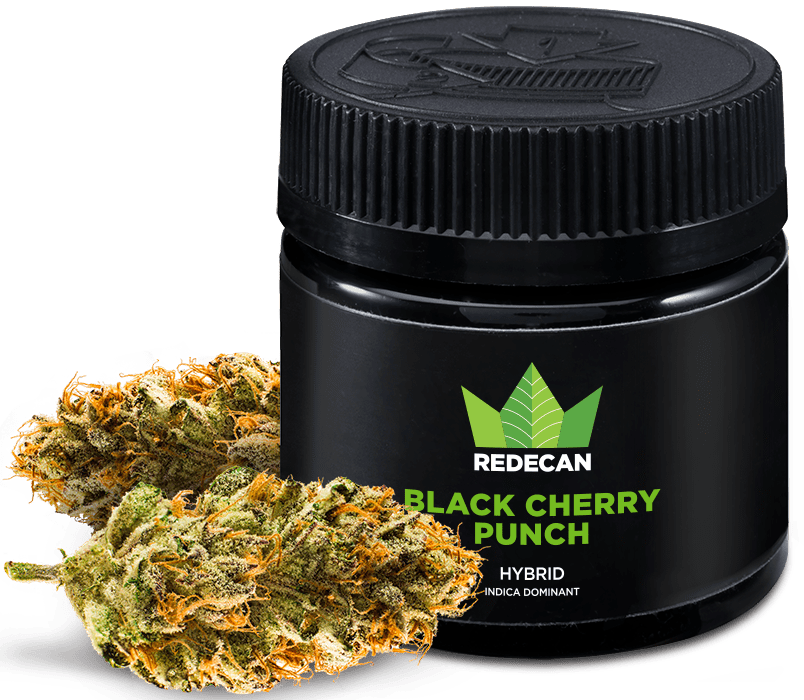 Discreet Cannabis Delivery Australia